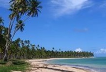 South Coast - Frances Beach